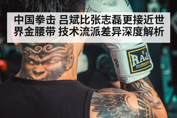中国拳击 吕斌比张志磊更接近世界金腰带 技术流派差异深度解析